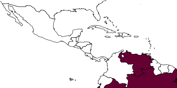 map of Ptiloglossa amita     Moure, 1987